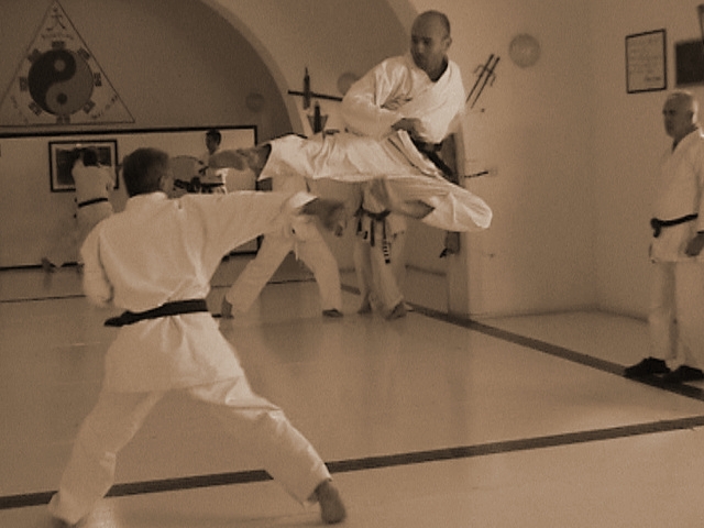 Sokuto al volo