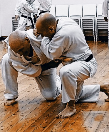 Proiezione Kempo Dankan