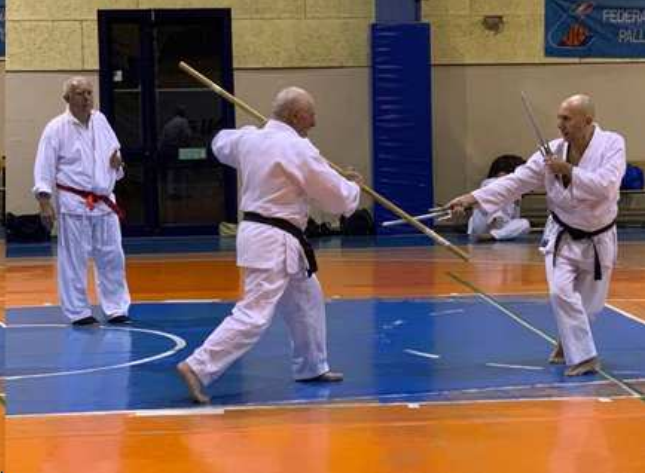 CISOK - centro studio organizzazione Kempo