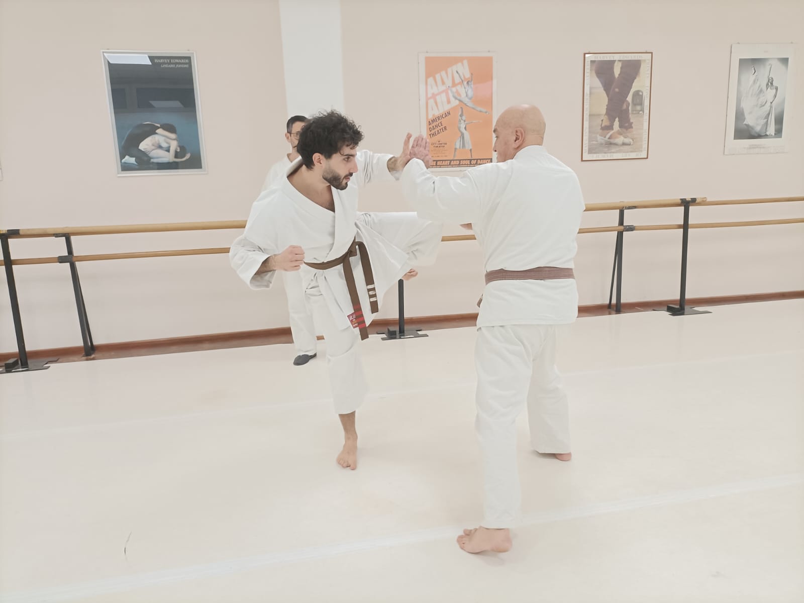 Mawashi Geri